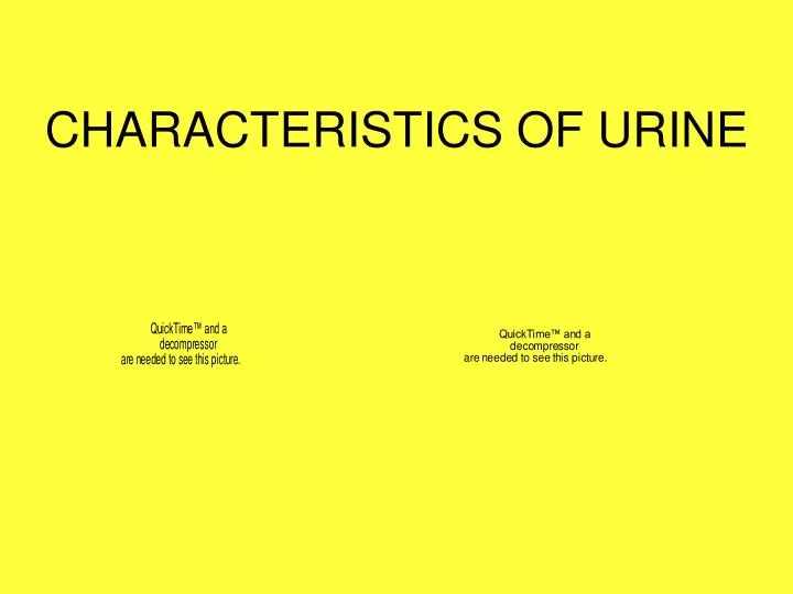 characteristics of urine
