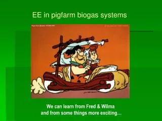 EE in pigfarm biogas systems