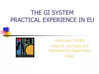 THE GI SYSTEM PRACTICAL EXPERIENCE IN EU