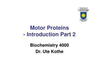 Motor Proteins - Introduction Part 2