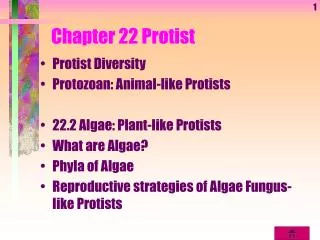Chapter 22 Protist