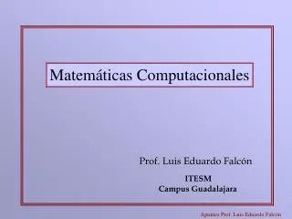 Prof. Luis Eduardo Falcón