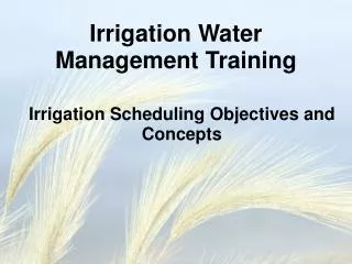 Irrigation Scheduling Objectives and Concepts