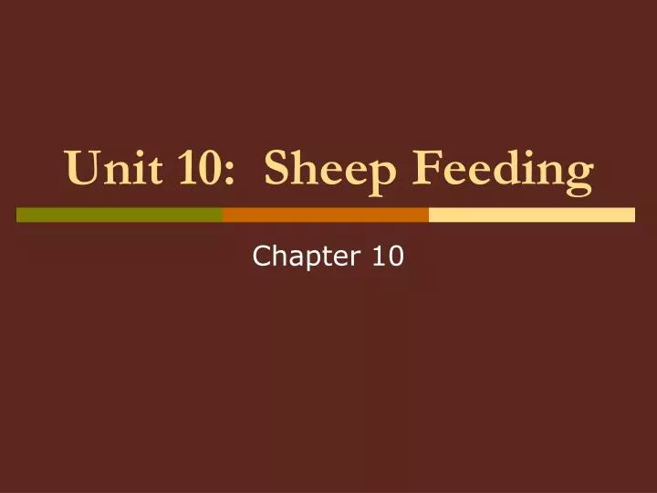 unit 10 sheep feeding