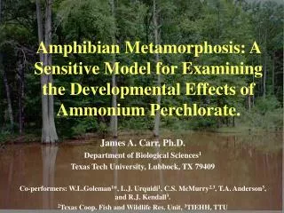 Amphibian Metamorphosis: A Sensitive Model for Examining the Developmental Effects of Ammonium Perchlorate.