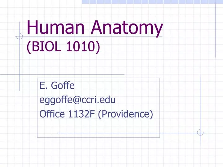 human anatomy biol 1010