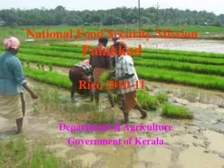 National Food Security Mission Palakkad