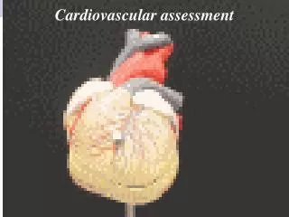 Cardiovascular assessment