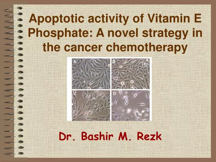 apoptotic activity of vitamin e phosphate a novel strategy in the cancer chemotherapy