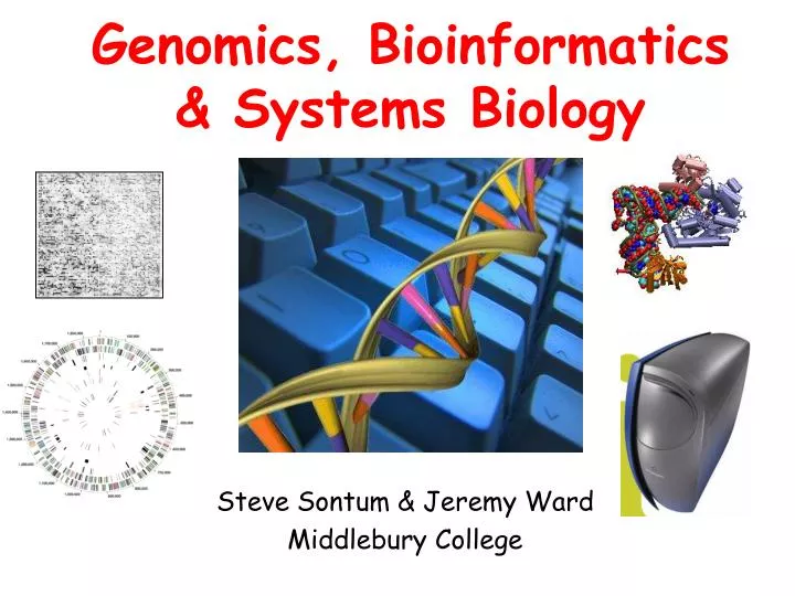 genomics bioinformatics systems biology