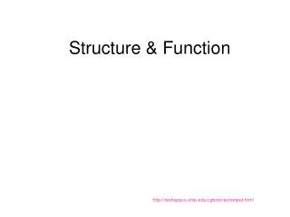 Structure &amp; Function