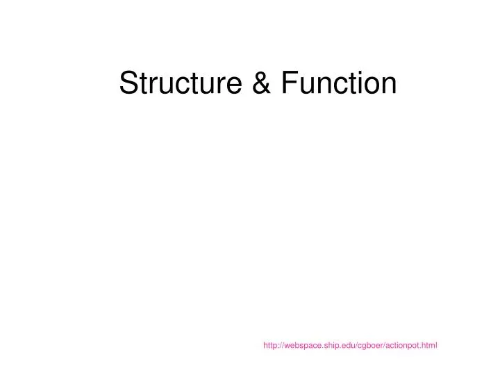 structure function