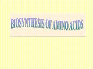 BIOSYNTHESIS OF AMINO ACIDS