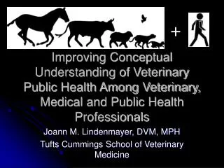 Improving Conceptual Understanding of Veterinary Public Health Among Veterinary, Medical and Public Health Professionals