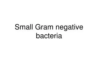 Small Gram negative bacteria