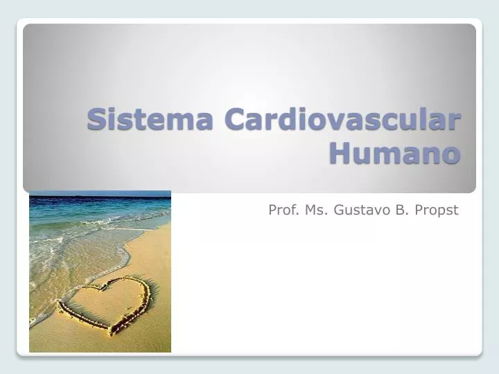 sistema cardiovascular humano
