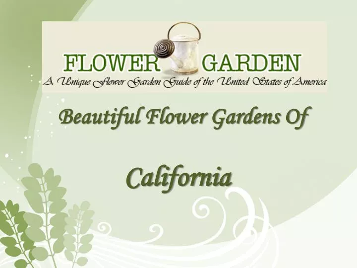 beautiful flower gardens of california