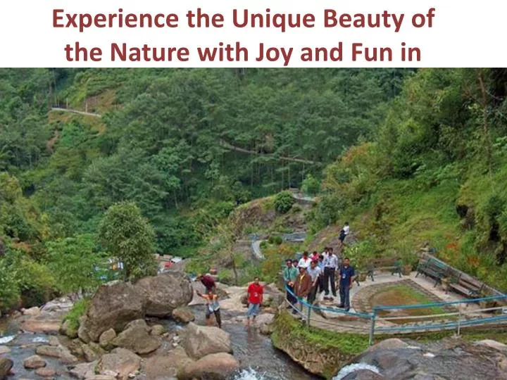 experience the unique beauty of the nature with joy and fun in darjeeling