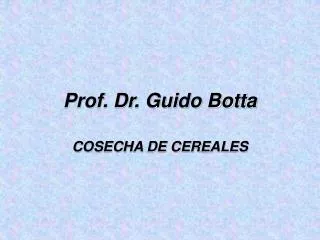 Prof. Dr. Guido Botta
