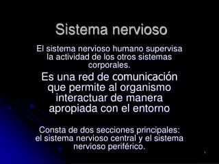 sistema nervioso