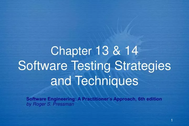 chapter 13 14 software testing strategies and techniques