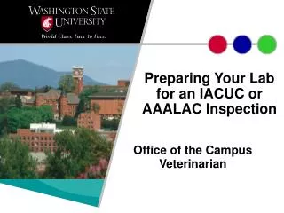 Preparing Your Lab for an IACUC or AAALAC Inspection