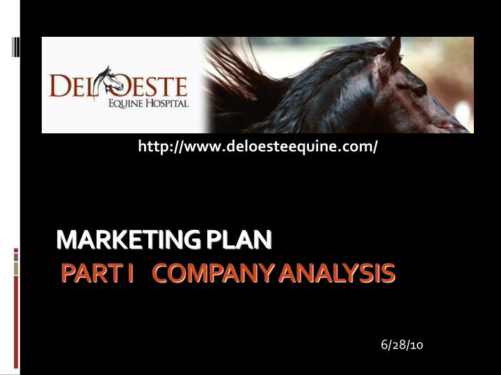 marketing plan part i company analysis