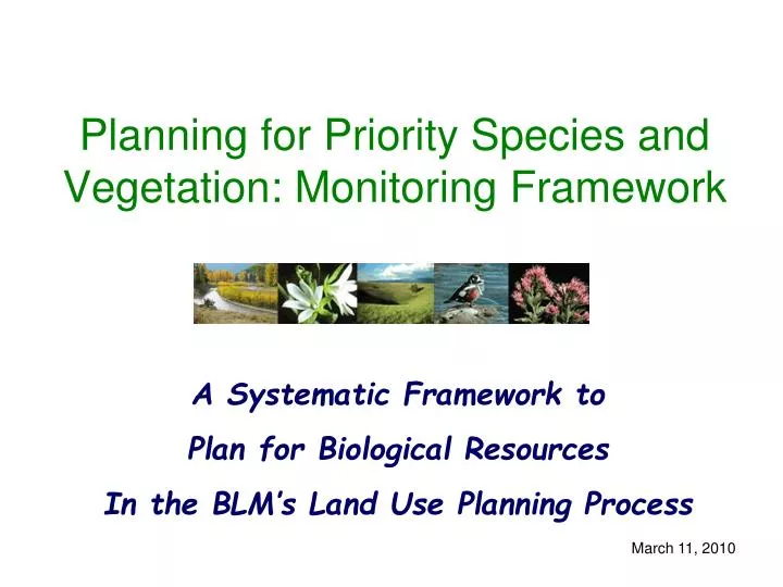 planning for priority species and vegetation monitoring framework