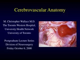 Cerebrovascular Anatomy