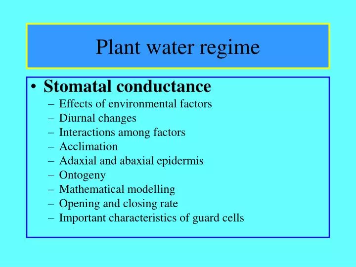 plant water regime