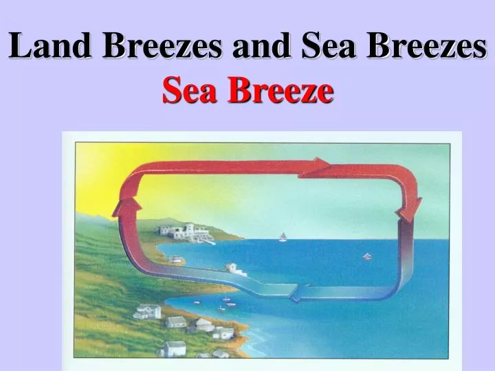 land breezes and sea breezes sea breeze