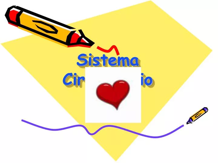 sistema circulat rio