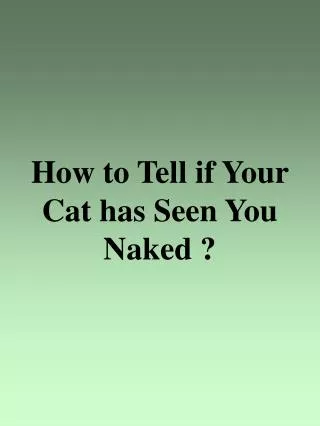 How to Tell if Your Cat has Seen You Naked ?