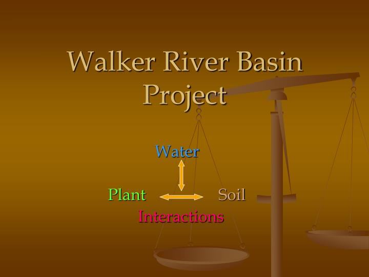 walker river basin project