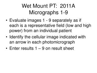 Wet Mount PT: 2011A Micrographs 1-9
