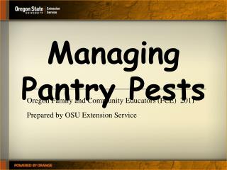 Managing Pantry Pests