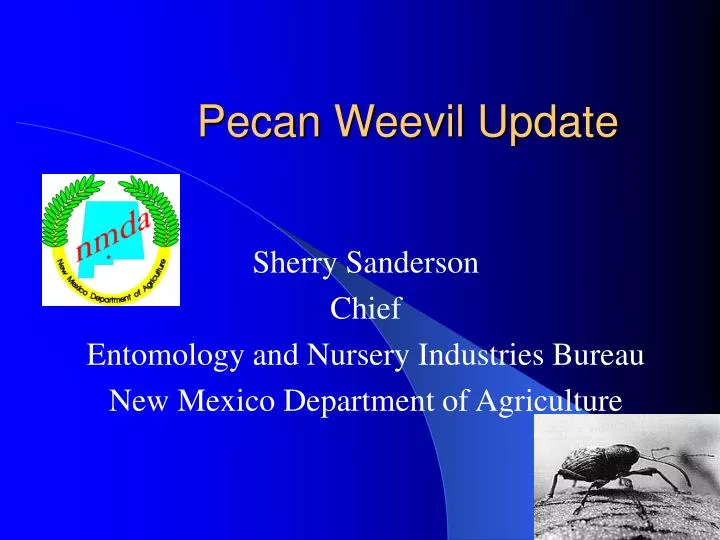 pecan weevil update