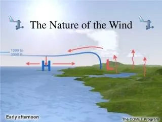 The Nature of the Wind