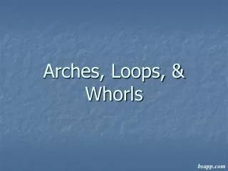 Arches, Loops, &amp; Whorls