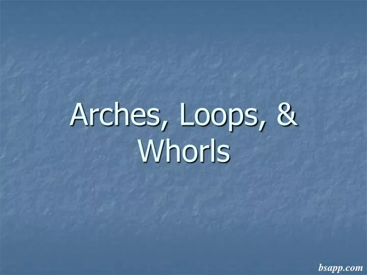 arches loops whorls