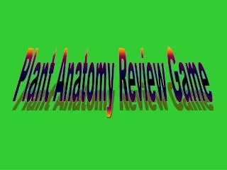 Plant Anatomy Review Game