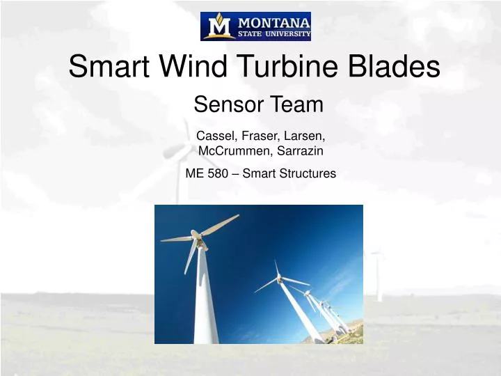 smart wind turbine blades