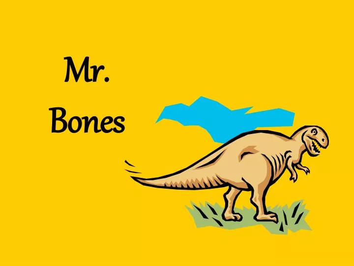 mr bones