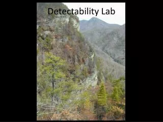 Detectability Lab