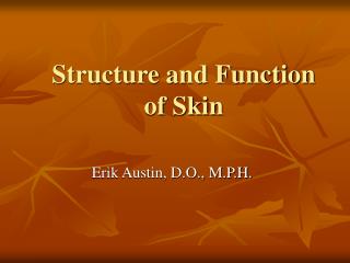Structure and Function of Skin