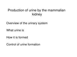 Production of urine by the mammalian kidney