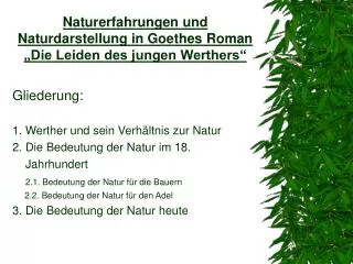 Naturerfahrungen und Naturdarstellung in Goethes Roman „Die Leiden des jungen Werthers“