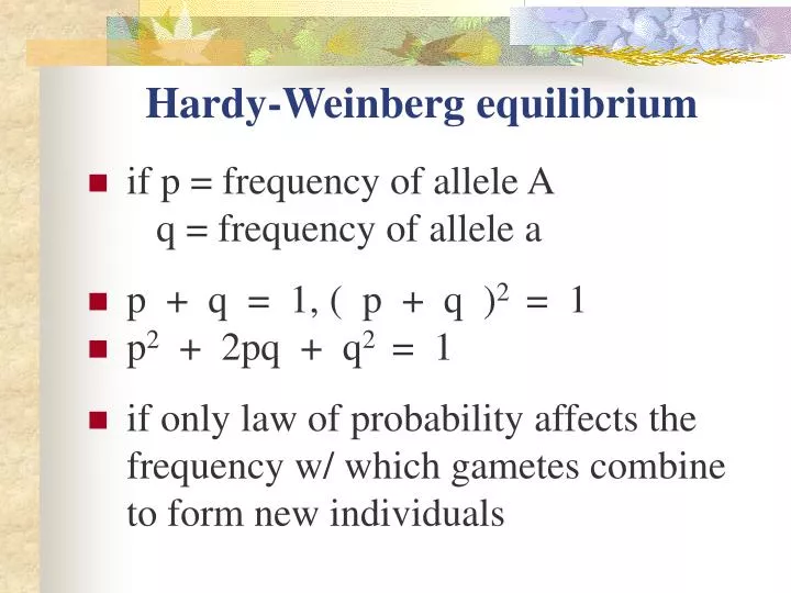 hardy weinberg equilibrium