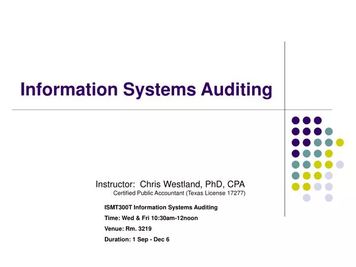 information systems auditing