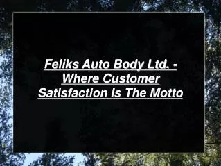 Feliks Auto Body Ltd.